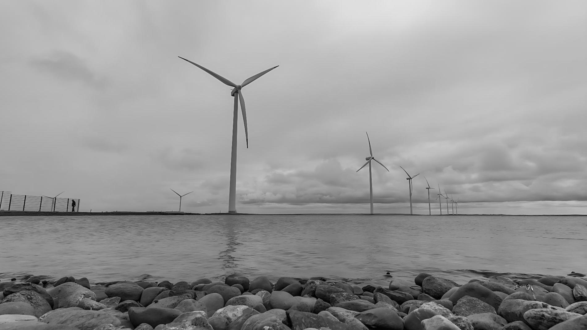 Session d'étude autonome avec supports numériques pour la formation en piles à combustible